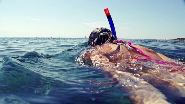 snorkel