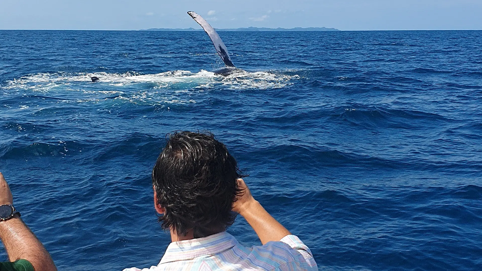 20210805_094033 Whale Watching Tours in Panama | Tours de Avistamiento de Ballenas en Panamá | Gem Charters