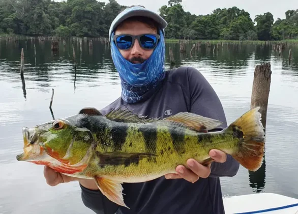 Pesca en Lago Gat&uacute;n - Panama Gem Charters - Gatun Lake Fishing Tour