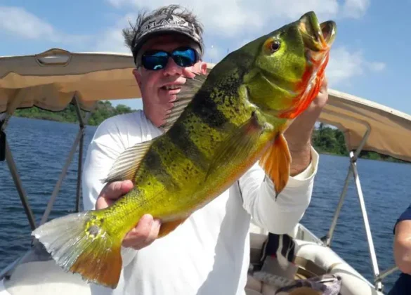 Pesca en Lago Gat&uacute;n - Panama Gem Charters - Gatun Lake Fishing Tour
