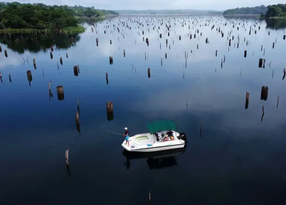 Pesca en Lago Gat&uacute;n - Panama Gem Charters - Gatun Lake Fishing Tour
