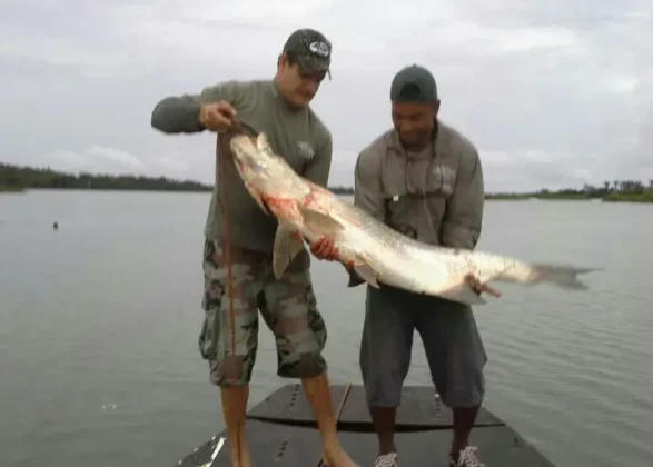 Pesca en Lago Gat&uacute;n - Panama Gem Charters - Gatun Lake Fishing Tour