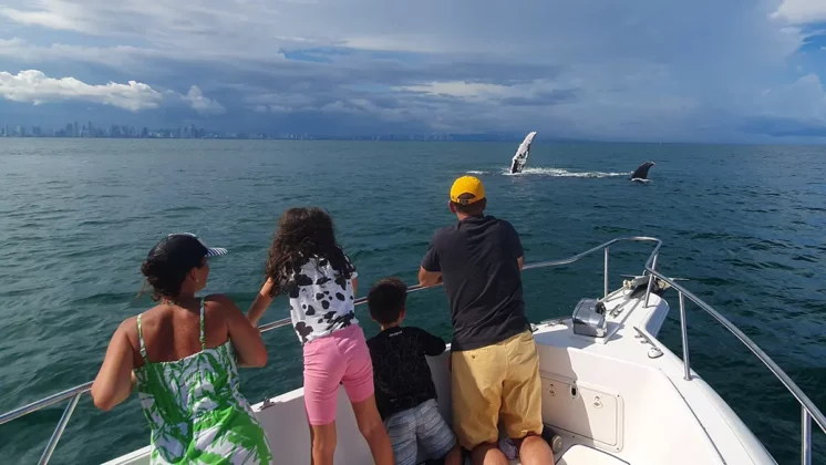 Panama Whale Watching Tour - Avistamiento de Ballenas en Panam&aacute;
