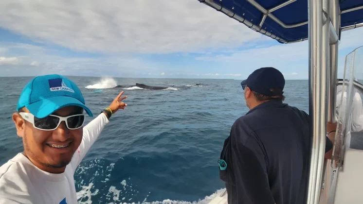 Panama Whale Watching Tour - Avistamiento de Ballenas en Panam&aacute;