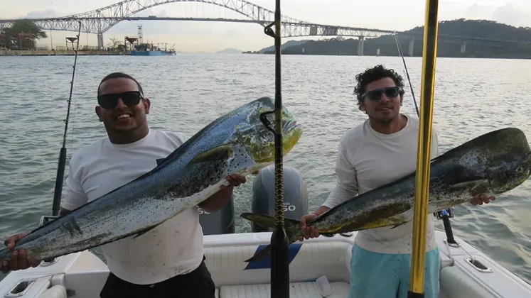 Panama Bay Tour - Private Sunset Cruises - Tours por la Bah&iacute;a de Panam&aacute; - Tours Privados en yate