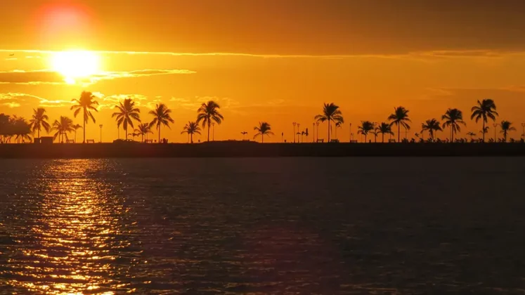 Panama Bay Tour - Private Sunset Cruises - Tours por la Bah&iacute;a de Panam&aacute; - Tours Privados en yate