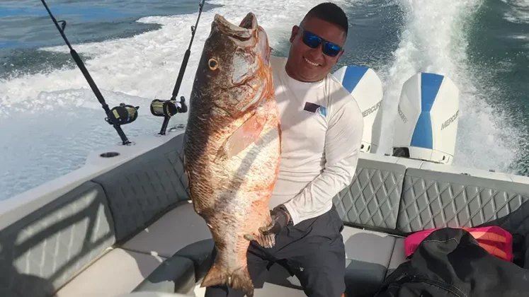 sport fishing in panama - gem charters - deep sea fishing - pesca de altura - pesca deportiva