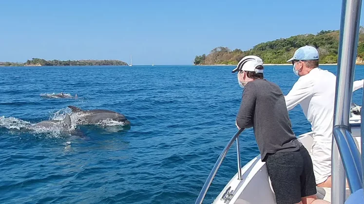 Proline 27 private yacht charter in panama - alquiler de yates en panama