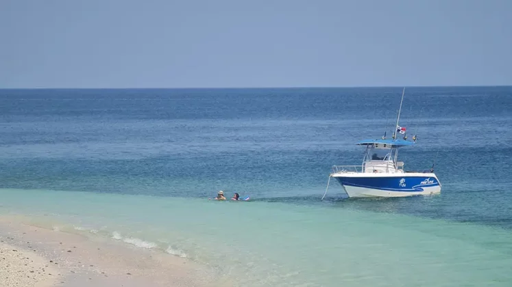 Proline 27 private yacht charter in panama - alquiler de yates en panama