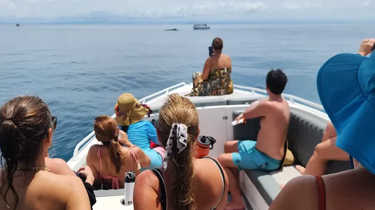 Todomar Alquiler de yates en panama | yacht rental in panama