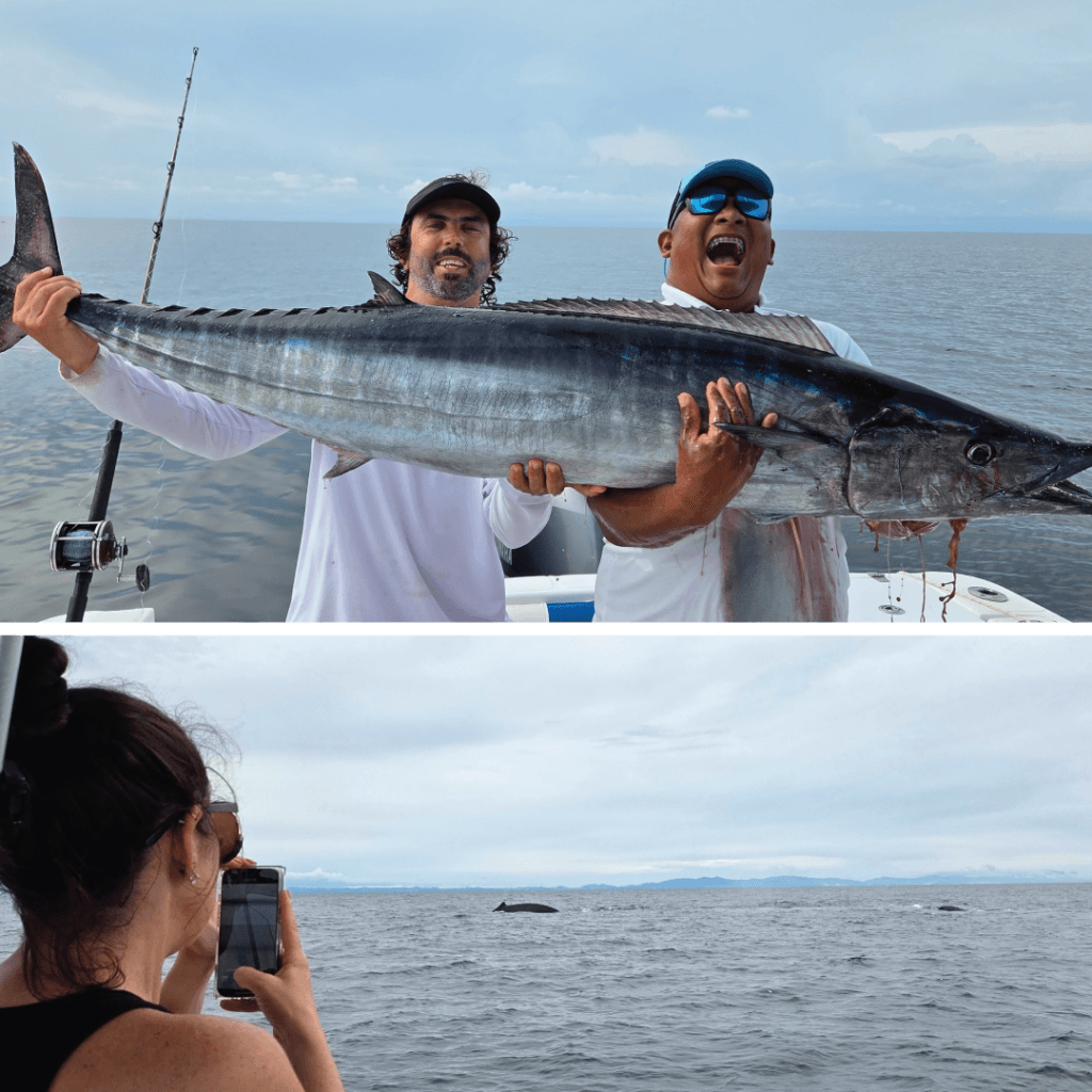 fishing and whale watching