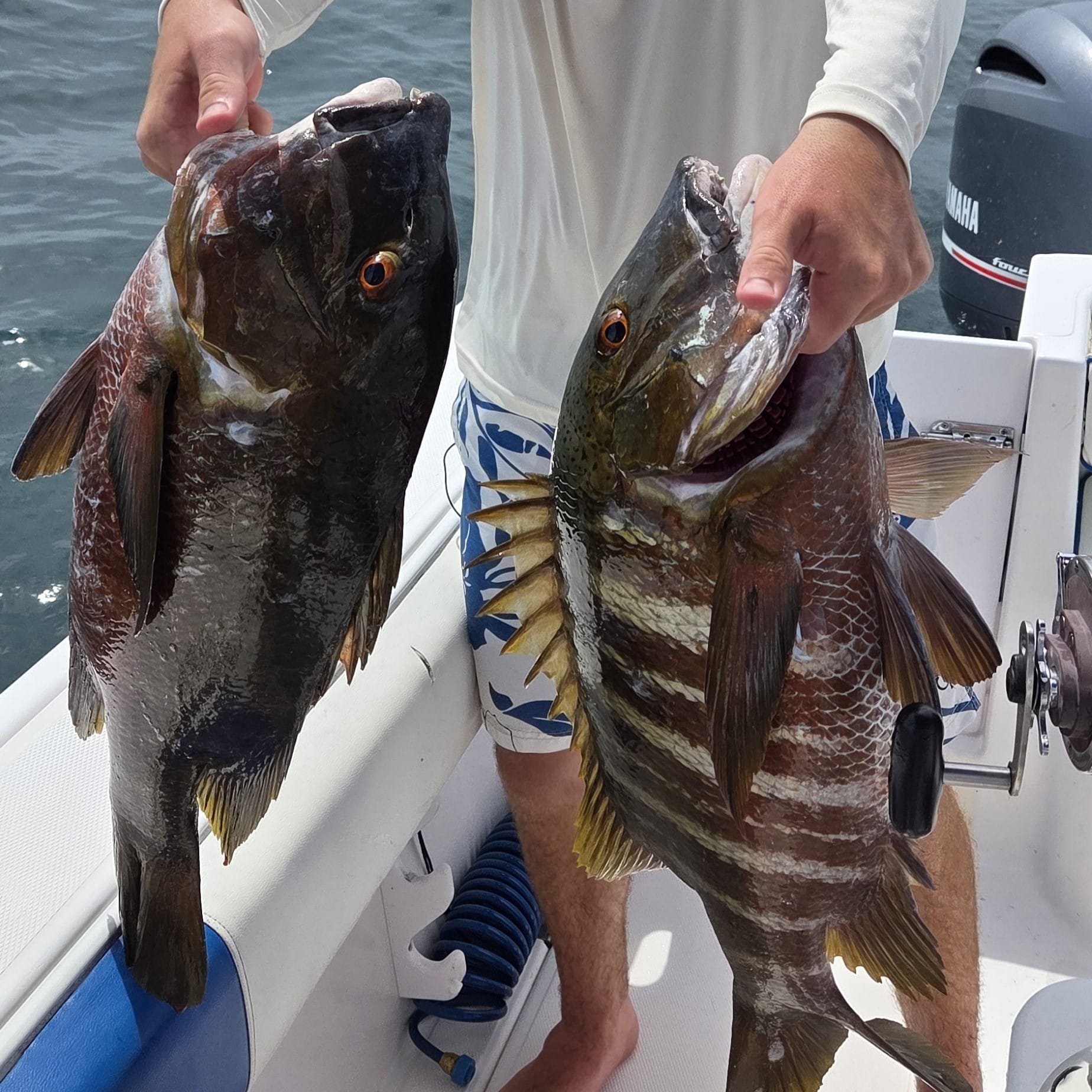 Fishing in Pearl Islands