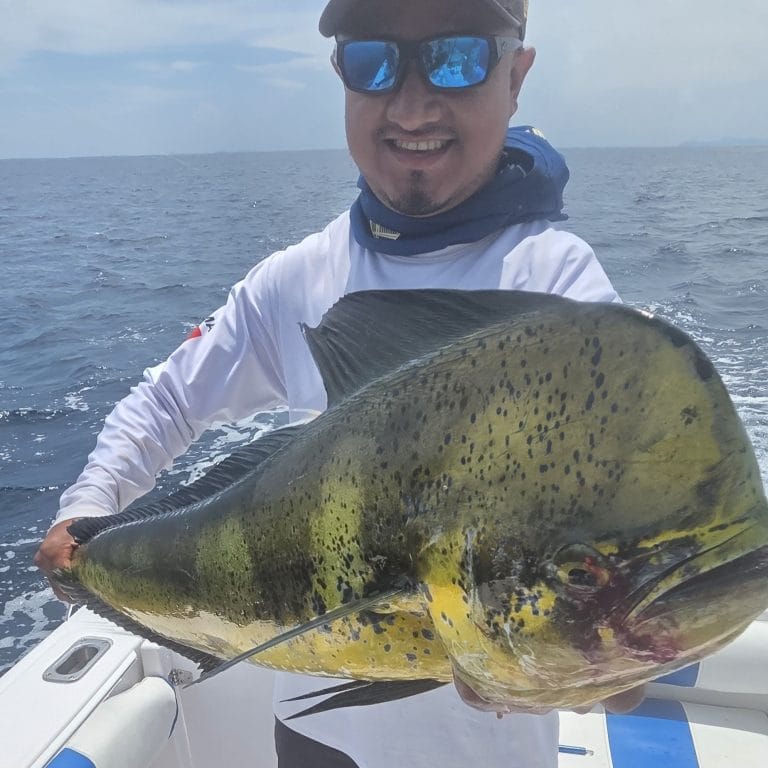 Fishing mahi mahi in Panama