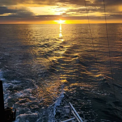 Paseo por la bah&iacute;a al atardecer - anochecer