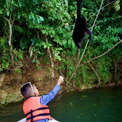 monkey island tour panama gem charters